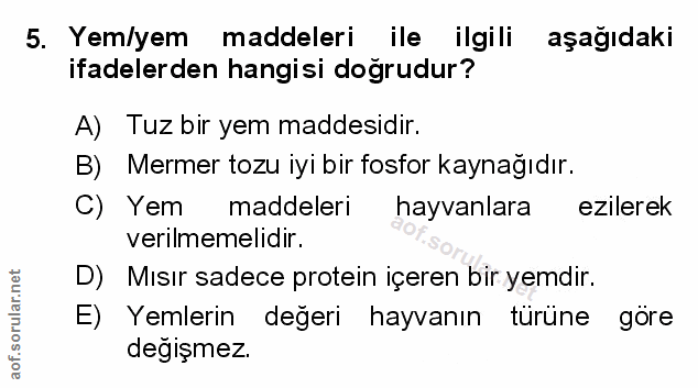 Soru 5