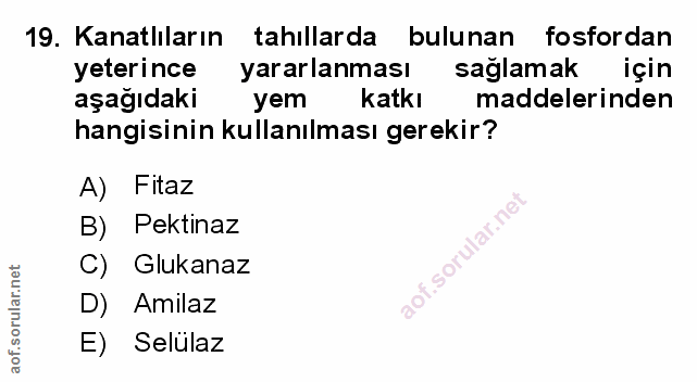 Soru 19