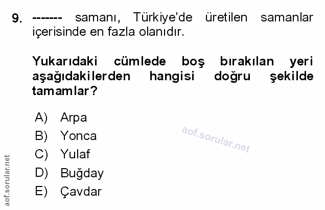 Soru 9