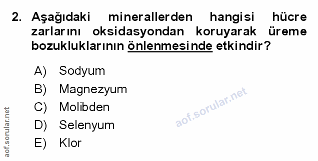 Soru 2