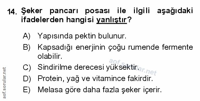 Soru 14
