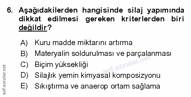 Soru 6