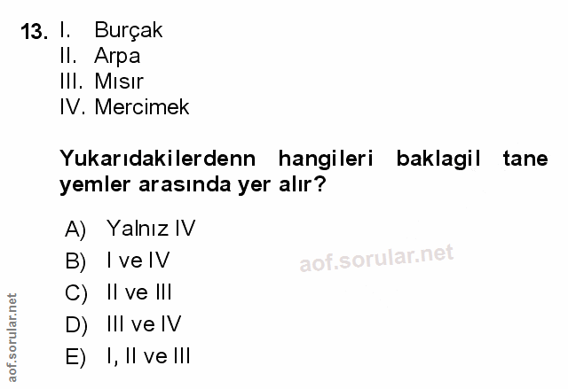 Soru 13