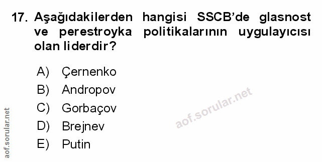 Soru 17