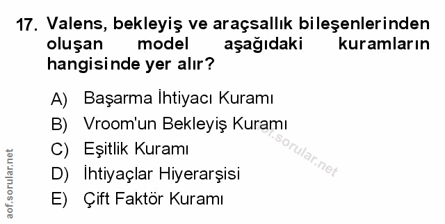 Soru 17