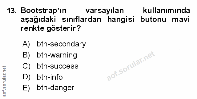 Soru 13