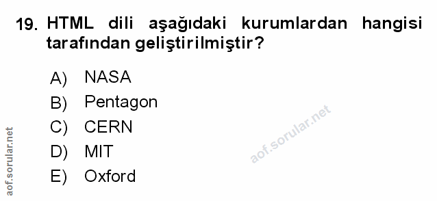 Soru 19