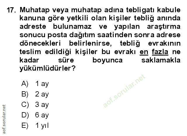 Soru 17