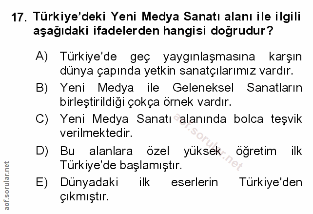 Soru 17