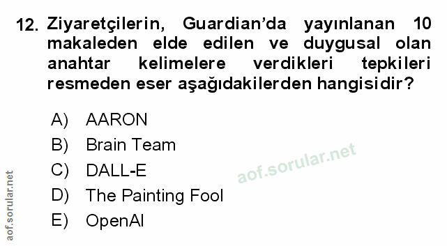 Soru 12