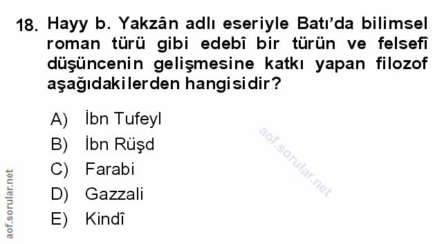 Soru 18