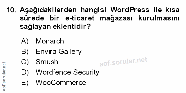 Soru 10