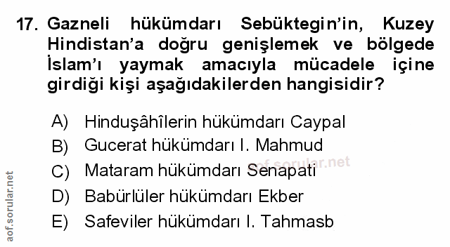 Soru 17
