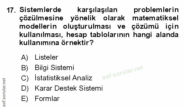 Soru 17