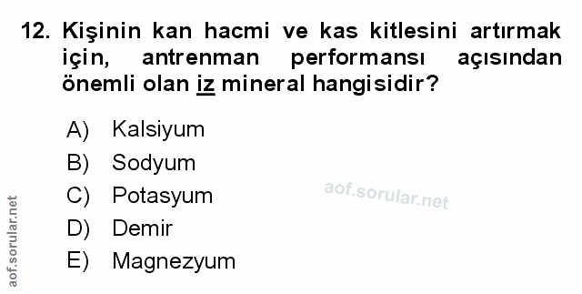 Soru 12