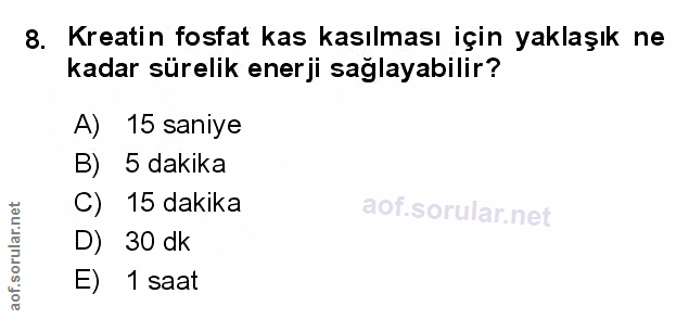 Soru 8