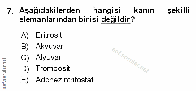 Soru 7