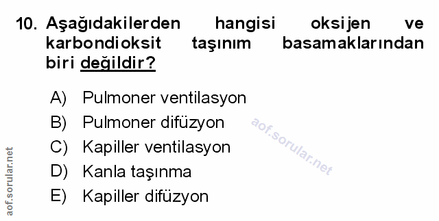 Soru 10