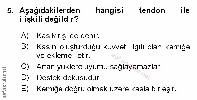 Soru 5