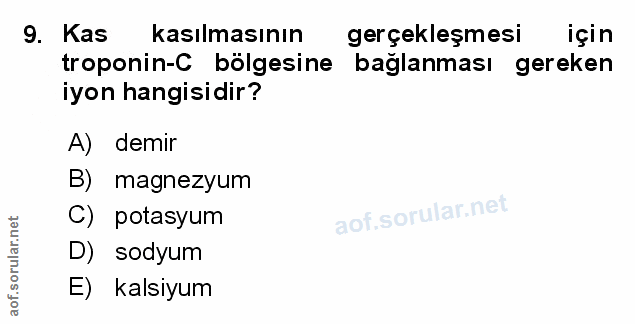 Soru 9