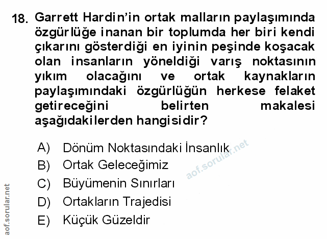 Soru 18