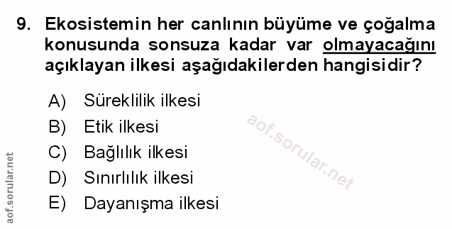 Soru 9