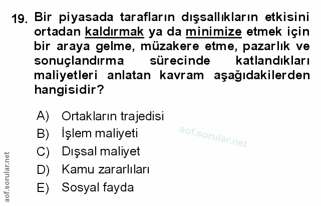 Soru 19
