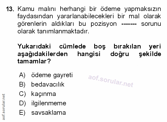 Soru 13