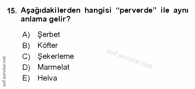 Soru 15