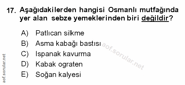 Soru 17