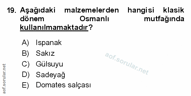 Soru 19
