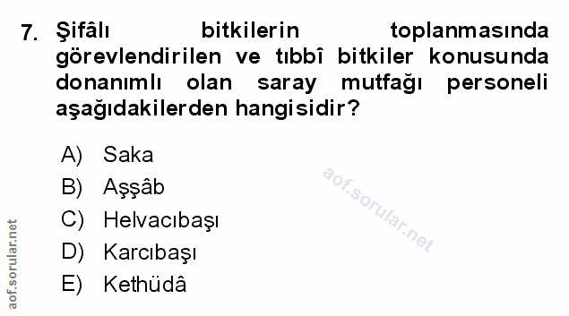 Soru 7