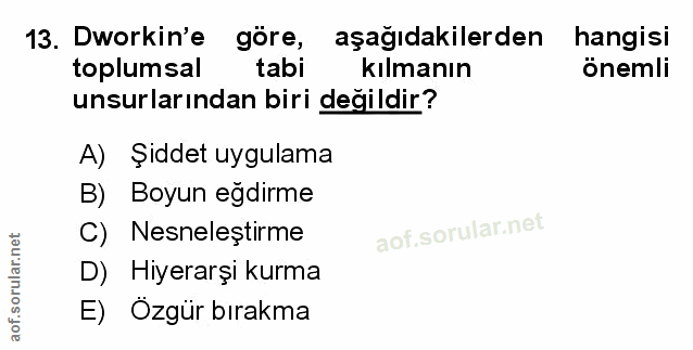 Soru 13