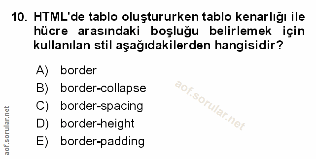 Soru 10