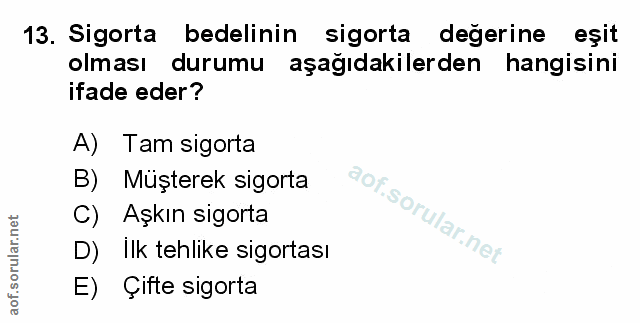 Soru 13