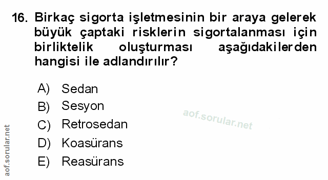 Soru 16