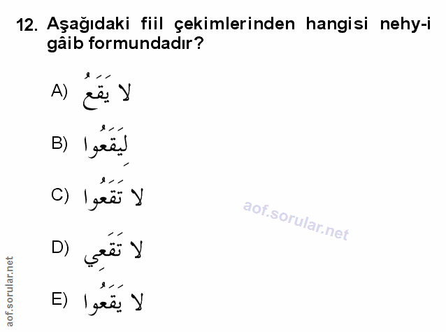 Soru 12