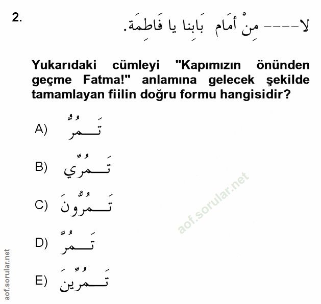 Soru 2
