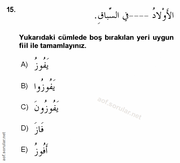 Soru 15