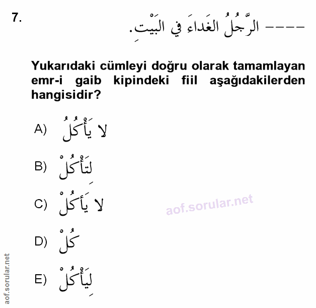 Soru 7