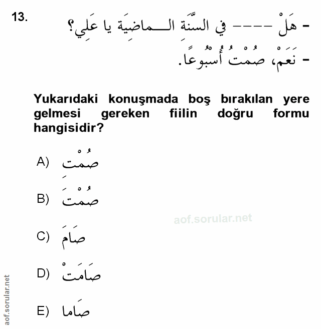 Soru 13