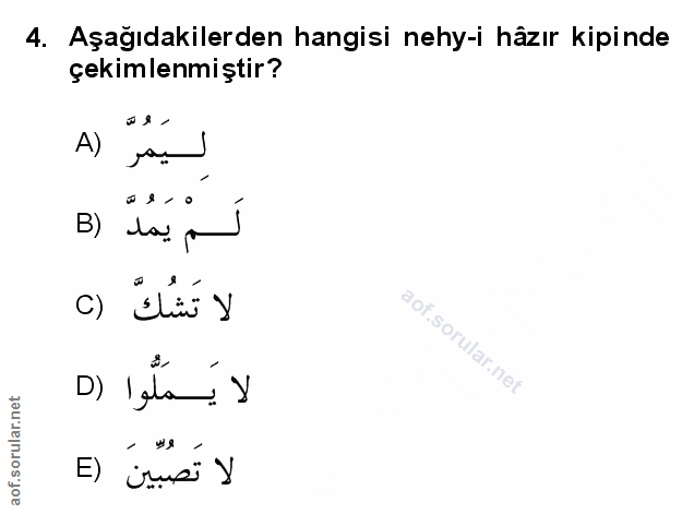 Soru 4