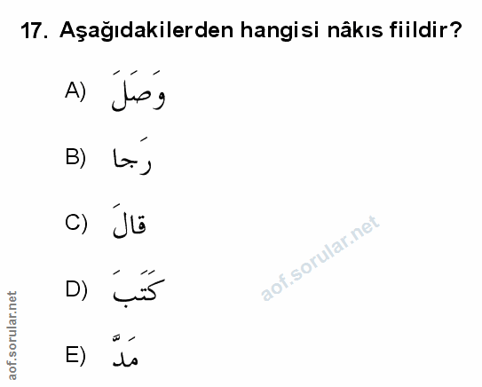 Soru 17