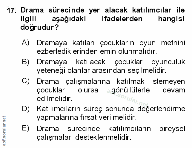 Soru 17