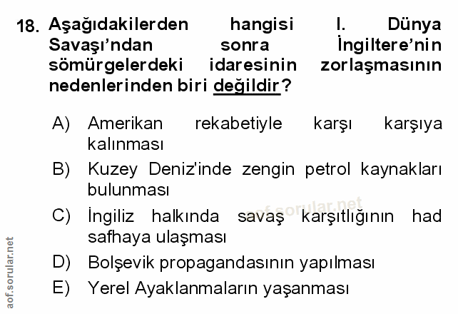 Soru 18