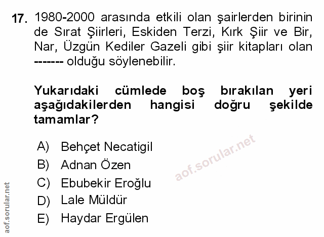 Soru 17