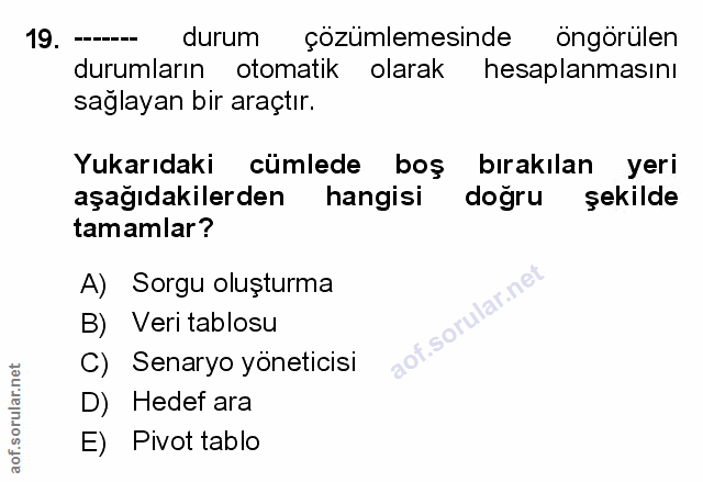 Soru 19