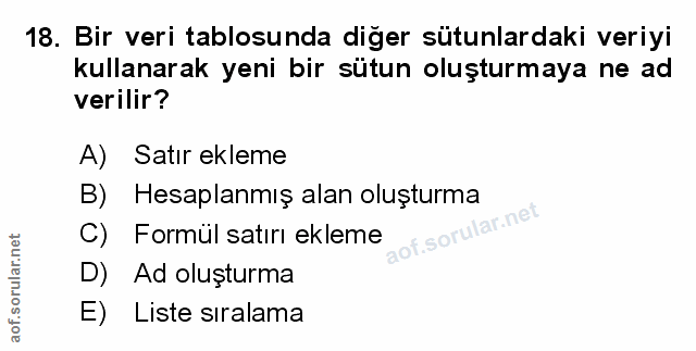 Soru 18