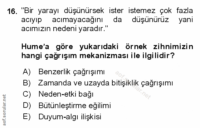 Soru 16