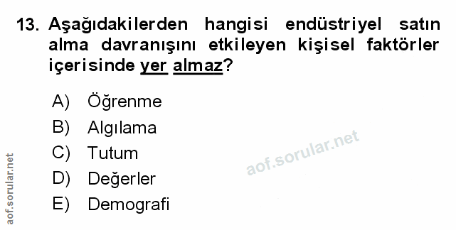 Soru 13